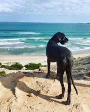 Load image into Gallery viewer, Pets - Doornfontein Farm Cottage add-on