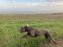 Load image into Gallery viewer, Doornfontein Farm Cottage