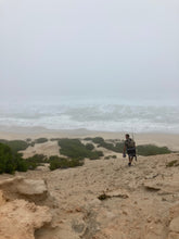 Load image into Gallery viewer, Pets - Doornfontein Farm Cottage add-on