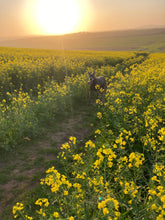 Load image into Gallery viewer, Doornfontein Farm Cottage
