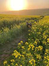 Load image into Gallery viewer, Pets - Doornfontein Farm Cottage add-on
