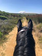 Load image into Gallery viewer, Doornfontein Farm Cottage
